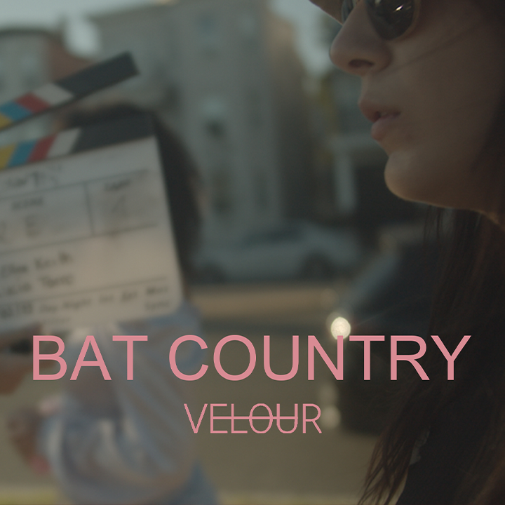 Bat Country