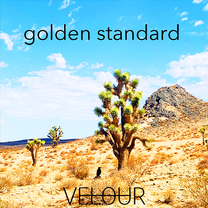 Golden Standard